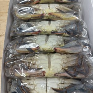 1 dozen Jumbo soft shells