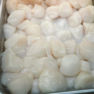 Seatrade Dry scallops 10/20 ct