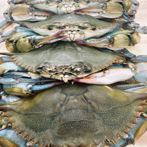 Whale softshell crabs