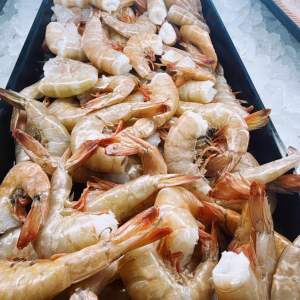 16/20 Gulf Shrimp steamed and seasoned